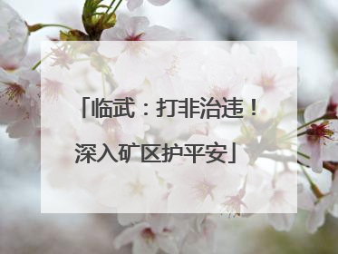 临武：打非治违！深入矿区护平安