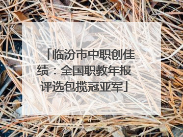 临汾市中职创佳绩：全国职教年报评选包揽冠亚军