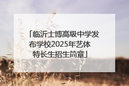 临沂士博高级中学发布学校2025年艺体特长生招生简章