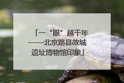 一“眼”越千年——北京路县故城遗址博物馆印象