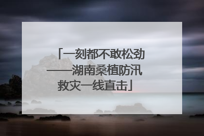 一刻都不敢松劲——湖南桑植防汛救灾一线直击