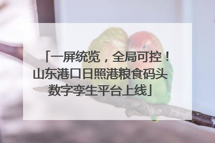 一屏统览，全局可控！山东港口日照港粮食码头数字孪生平台上线