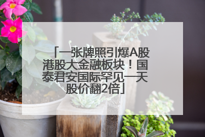 一张牌照引爆A股港股大金融板块！国泰君安国际罕见一天股价翻2倍
