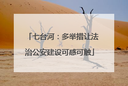 七台河：多举措让法治公安建设可感可触