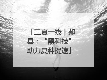 三夏一线｜郏县：“黑科技”助力夏种提速