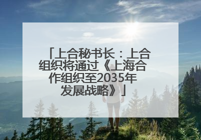 上合秘书长：上合组织将通过《上海合作组织至2035年发展战略》