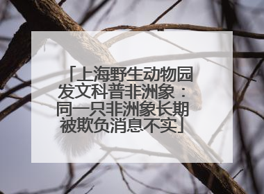 上海野生动物园发文科普非洲象：同一只非洲象长期被欺负消息不实
