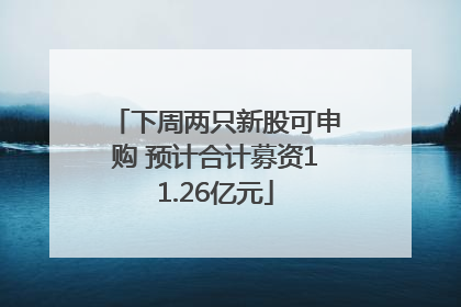 下周两只新股可申购 预计合计募资11.26亿元