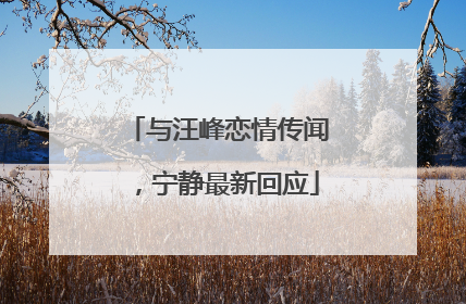 与汪峰恋情传闻，宁静最新回应