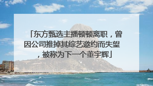东方甄选主播顿顿离职，曾因公司推掉其综艺邀约而失望，被称为下一个董宇辉