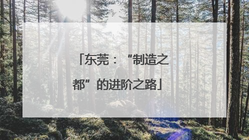 东莞：“制造之都”的进阶之路