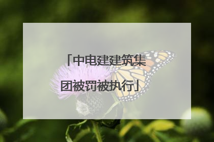 中电建建筑集团被罚被执行