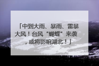 中到大雨、暴雨、雷暴大风！台风“蝴蝶”来袭，或将影响湖北！