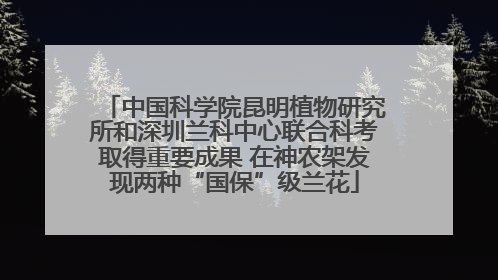 中国科学院昆明植物研究所和深圳兰科中心联合科考取得重要成果 在神农架发现两种“国保”级兰花