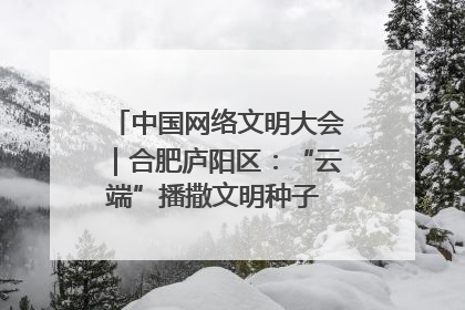 中国网络文明大会｜合肥庐阳区：“云端”播撒文明种子 共建清朗网络空间