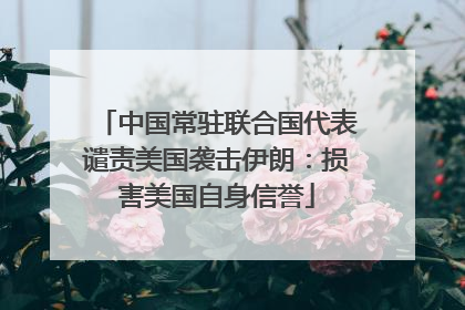中国常驻联合国代表谴责美国袭击伊朗：损害美国自身信誉