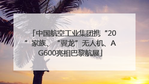 中国航空工业集团携“20”家族、“翼龙”无人机、AG600亮相巴黎航展