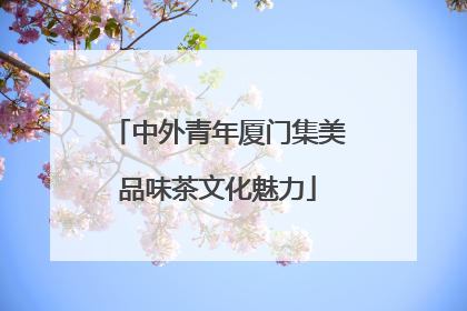 中外青年厦门集美品味茶文化魅力