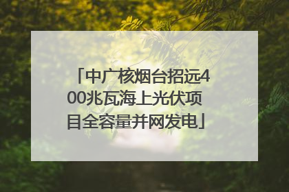 中广核烟台招远400兆瓦海上光伏项目全容量并网发电