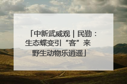 中新武威观｜民勤：生态蝶变引“客”来 野生动物乐逍遥