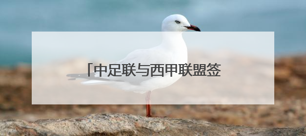 中足联与西甲联盟签署战略合作协议 共促职业足球交流和发展