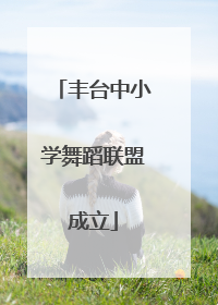 丰台中小学舞蹈联盟成立