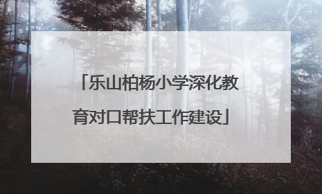 乐山柏杨小学深化教育对口帮扶工作建设