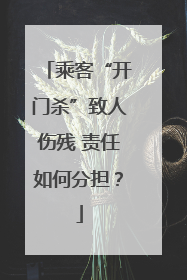 乘客“开门杀”致人伤残 责任如何分担？