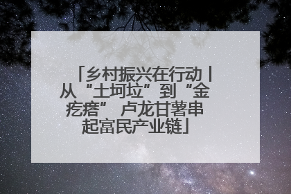 乡村振兴在行动丨从“土坷垃”到“金疙瘩” 卢龙甘薯串起富民产业链