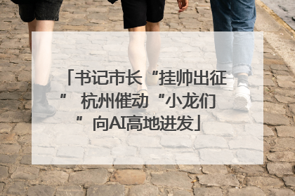 书记市长“挂帅出征” 杭州催动“小龙们”向AI高地进发