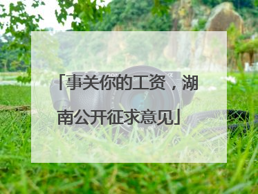 事关你的工资，湖南公开征求意见