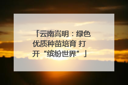 云南嵩明：绿色优质种苗培育 打开“缤纷世界”