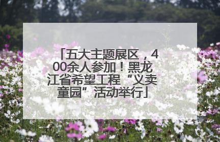 五大主题展区，400余人参加！黑龙江省希望工程“义卖童园”活动举行
