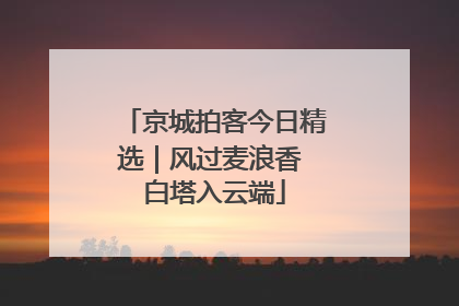 京城拍客今日精选｜风过麦浪香 白塔入云端