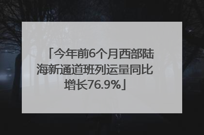 今年前6个月西部陆海新通道班列运量同比增长76.9%