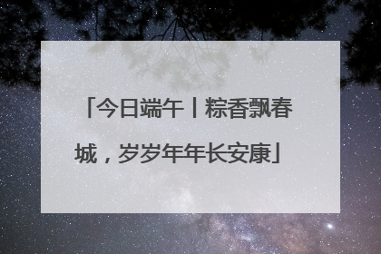 今日端午丨粽香飘春城，岁岁年年长安康