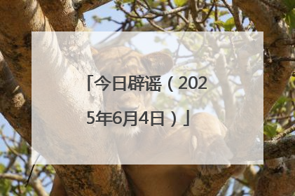 今日辟谣（2025年6月4日）