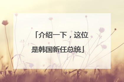 介绍一下，这位是韩国新任总统