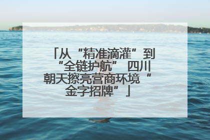 从“精准滴灌”到“全链护航” 四川朝天擦亮营商环境“金字招牌”