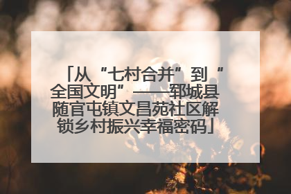 从“七村合并”到“全国文明”——郓城县随官屯镇文昌苑社区解锁乡村振兴幸福密码