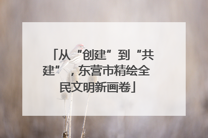 从“创建”到“共建”，东营市精绘全民文明新画卷