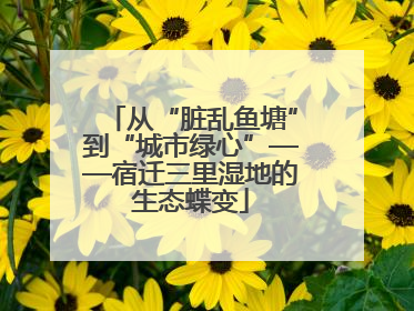 从“脏乱鱼塘”到“城市绿心”——宿迁三里湿地的生态蝶变