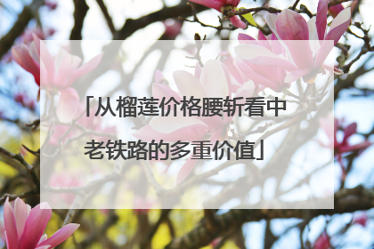 从榴莲价格腰斩看中老铁路的多重价值