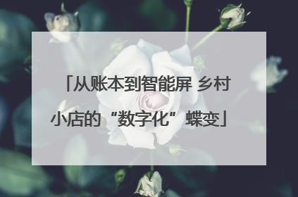 从账本到智能屏 乡村小店的“数字化”蝶变