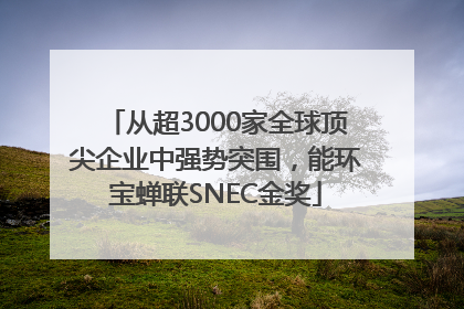 从超3000家全球顶尖企业中强势突围，能环宝蝉联SNEC金奖