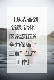 从麦香到新绿 沾化区富源街道全力保障“三夏”生产工作