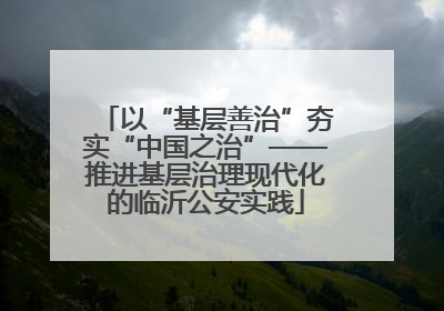 以“基层善治”夯实“中国之治”——推进基层治理现代化的临沂公安实践