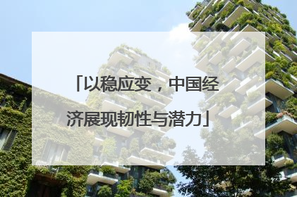 以稳应变，中国经济展现韧性与潜力