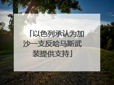 以色列承认为加沙一支反哈马斯武装提供支持