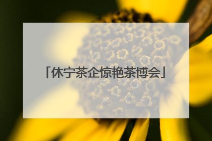 休宁茶企惊艳茶博会